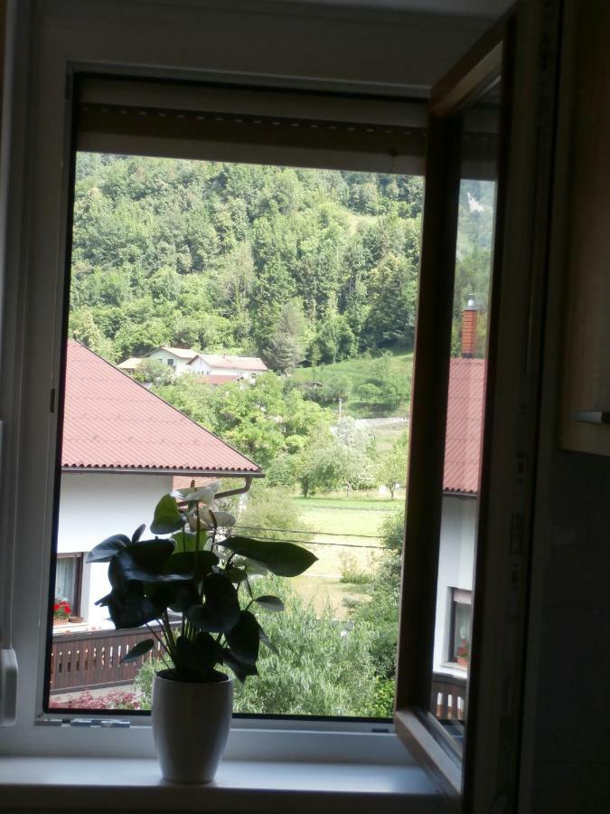 Apartma Ana Dreznica Кобарид Экстерьер фото